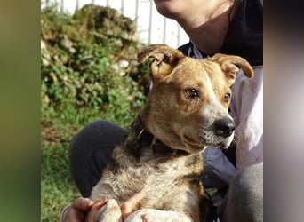 Mushashi ein richtig verschmuster Kerlchen