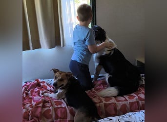 Mushashi ein richtig verschmuster Kerlchen