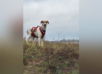 Donna - sucht sportliche Familie