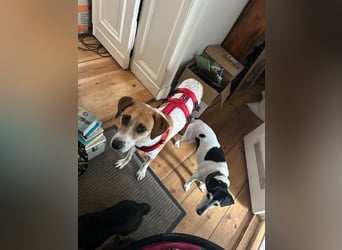 Donna - sucht sportliche Familie