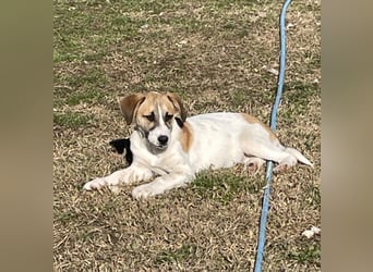 Donna - sucht sportliche Familie