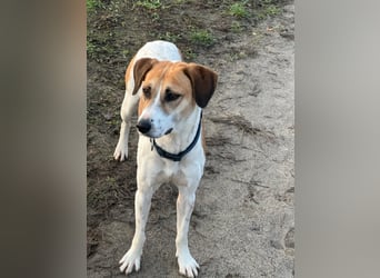 Donna - sportliche Familie gesucht