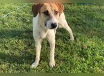 Donna - sportliche Familie gesucht