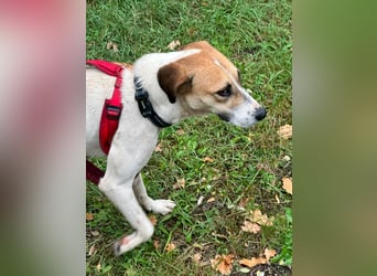 Donna - sportliche Familie gesucht