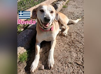 Ronda - ruhig und sensibel