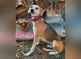 Ronda - ruhig und sensibel