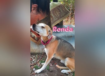 Ronda - ruhig und sensibel