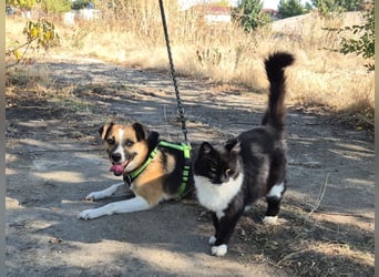 Liebe Polly sucht ein Zuhause