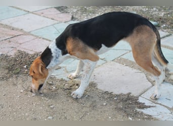 Lola, sehr menschenbezogen und sozial