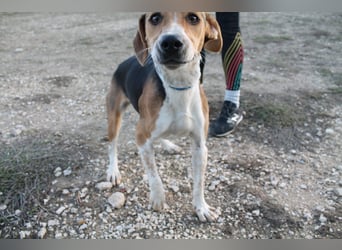 Lola, sehr menschenbezogen und sozial