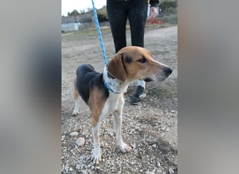 Lola, sehr menschenbezogen und sozial