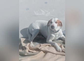 Rocky, wartet schon so lange