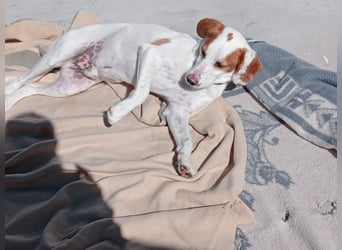 Rocky, wartet schon so lange