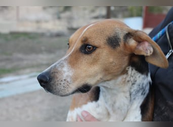 Lola, sehr menschenbezogen und sozial