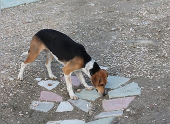 Lola, sehr menschenbezogen und sozial