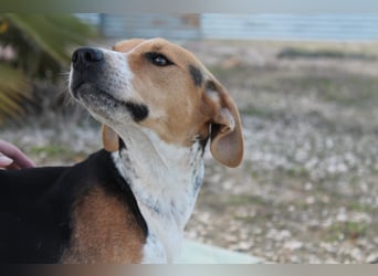 Lola, sehr menschenbezogen und sozial