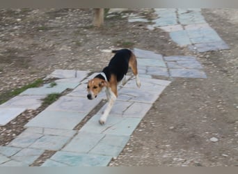 Lola, sehr menschenbezogen und sozial