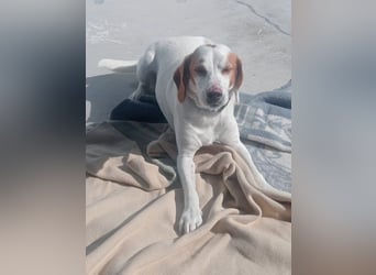 Rocky, wartet schon so lange