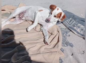 Rocky, wartet schon so lange