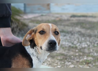 Lola, sehr menschenbezogen und sozial