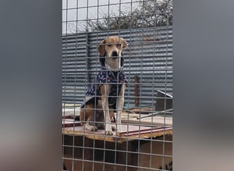 Lola, sehr menschenbezogen und sozial