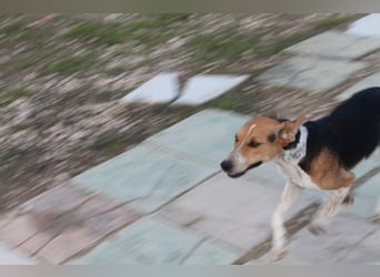 Lola, sehr menschenbezogen und sozial