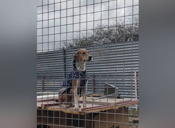 Lola, sehr menschenbezogen und sozial