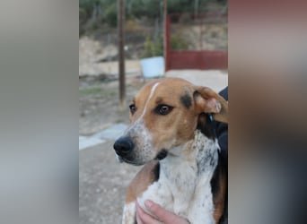 Lola, sehr menschenbezogen und sozial