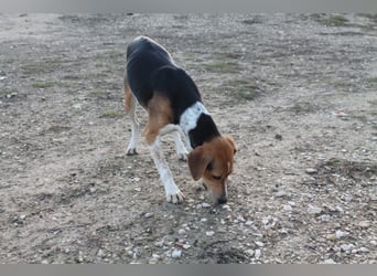 Lola, sehr menschenbezogen und sozial