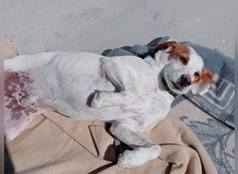 Rocky, wartet schon so lange