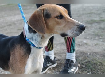 Lola, sehr menschenbezogen und sozial