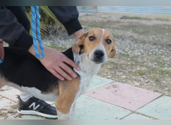 Lola, sehr menschenbezogen und sozial