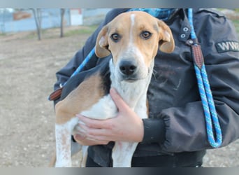 Lola, sehr menschenbezogen und sozial