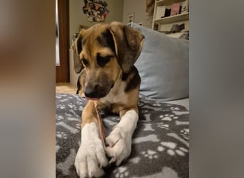 Mia, möchte sportliche Menschen finden