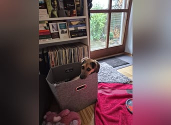 Mia, möchte sportliche Menschen finden