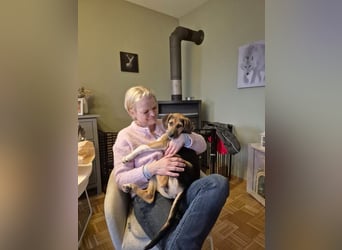 Mia, möchte sportliche Menschen finden