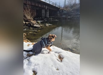 Mia, möchte sportliche Menschen finden