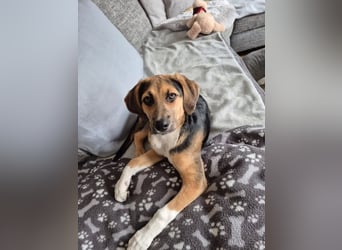 Mia, möchte sportliche Menschen finden