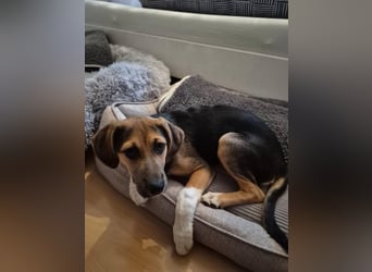 Mia, möchte sportliche Menschen finden