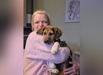 Mia, möchte sportliche Menschen finden