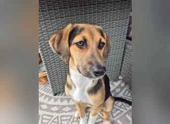 Mia, möchte sportliche Menschen finden