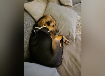 Mia, möchte sportliche Menschen finden