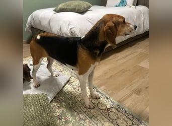 Luna - freundliches Mädchen