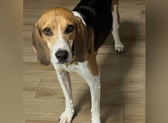 Luna - freundliches Mädchen