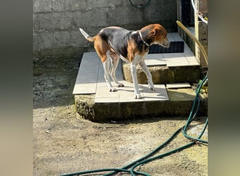 Luna - freundliches Mädchen