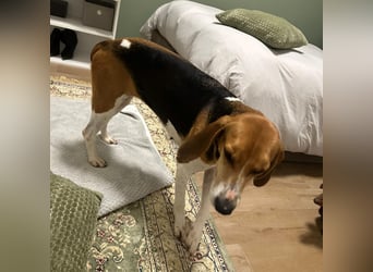 Luna - freundliches Mädchen