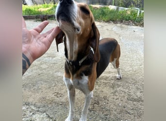 Luna - freundliches Mädchen