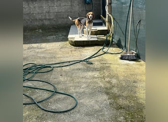 Luna - freundliches Mädchen