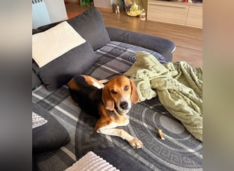 Luna - freundliches Mädchen