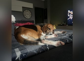 Luna - freundliches Mädchen